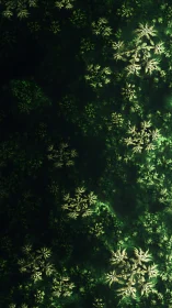 Fractal foliage structures form layered clusters on dark field