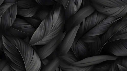 Monochrome overlapping feather pattern in close detail.