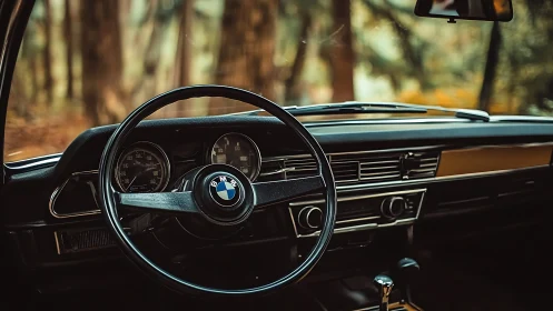 Vintage BMW cockpit basking in soft woodland daylight.