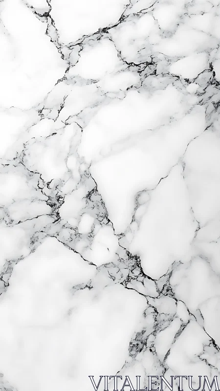 Minimal white marble slab with organic veining structure.
