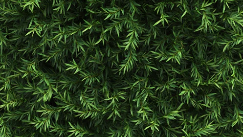 Dense coniferous foliage matrix with layered directional fractals.