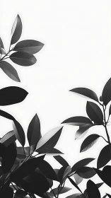 Monochrome foliage branches frame clean white background