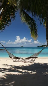 Tropical Paradise: Hammock Suspended Between Palms.