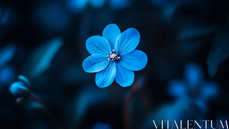 Luminous Cerulean Bloom in Twilight's Embrace.