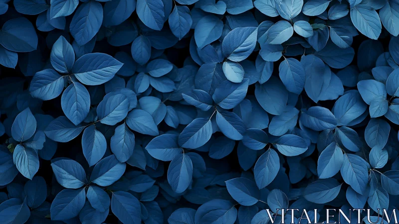 Blue-toned dense foliage fills the entire image frame
