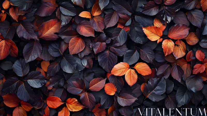 Macro study of autumn foliage with layered tonal contrast.