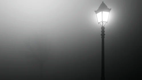 Streetlamp illuminating dense night fog in grayscale.