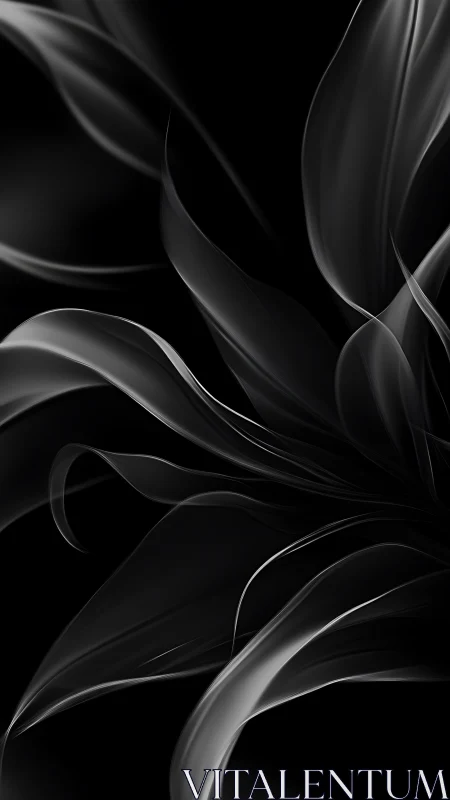 Soft monochrome ribbons curl gently through shadowed space