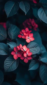 Red Ixora Flowers with Teal Foliage: Deep Saturation Study