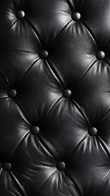 High contrast black leather tufting showcases sculpted surface