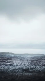 Gently misted shoreline stretches into a calm gray horizon