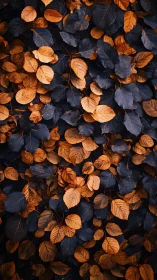 Midnight autumn leaves in a cozy copper and navy weave.