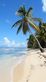 Tropicana Reverie: Palm Leaning Into Paradise.