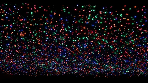 Dense canopy of multicolor LED lights glows against night sky