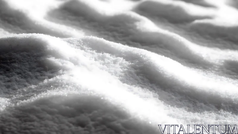Macro study of rippled snow texture in directional backlight.