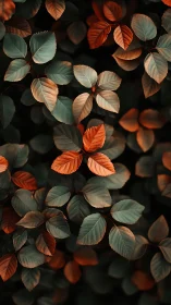 Chromatic bicolored foliage under directional autumnal lighting.