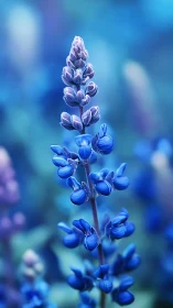 Gentle blue blossom rising through a dreamy soft focus haze.