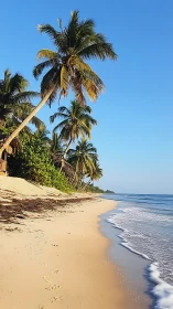 Palms Lean Into Paradise: A Tropical Beach Reverie