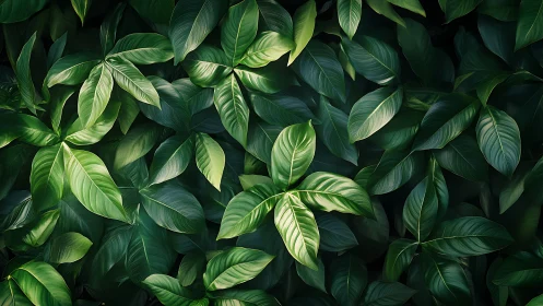 Lush tropical leaves create a serene, immersive green canopy