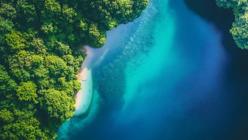 Verdant forest meets crystalline waters in aerial coastal view