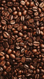 Warm roasted coffee bean mosaic for daily comfort seekers.