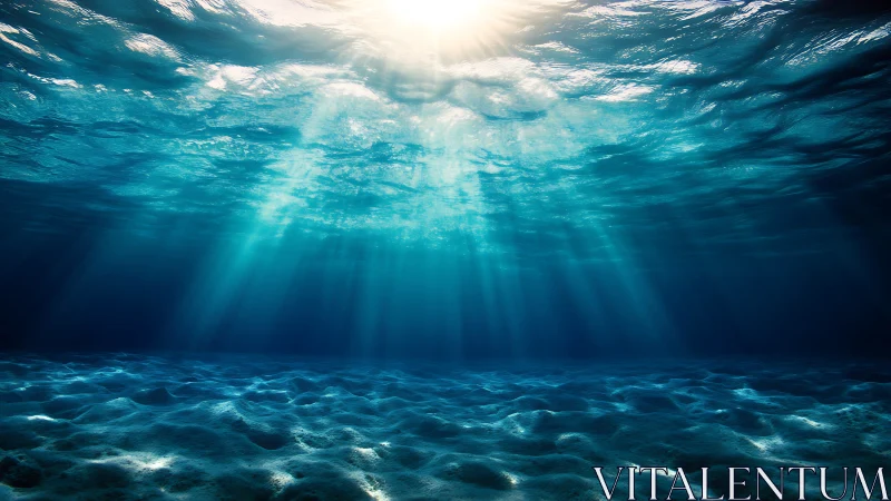 Sunlit ocean floor shimmers beneath tranquil turquoise waves