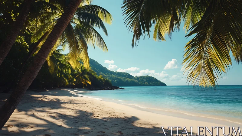 Tropical Paradise Beach with Palm Trees and Turquoise Waters.
