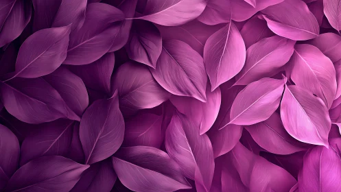 Velvet pink leaf canopy wrapped in soothing layered color.