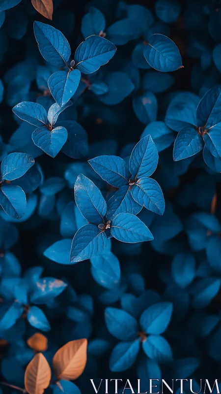 Cyan-toned foliage study isolates leaves with selective color