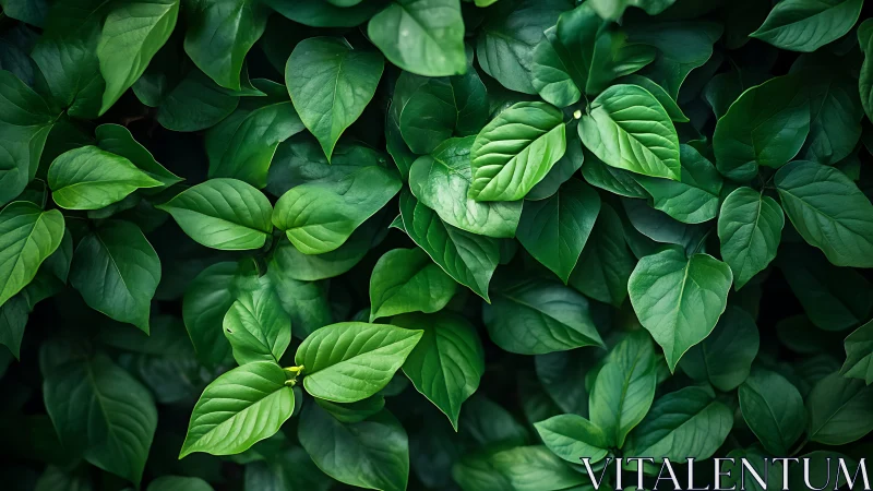 Dense green foliage pattern with layered glossy leaves.