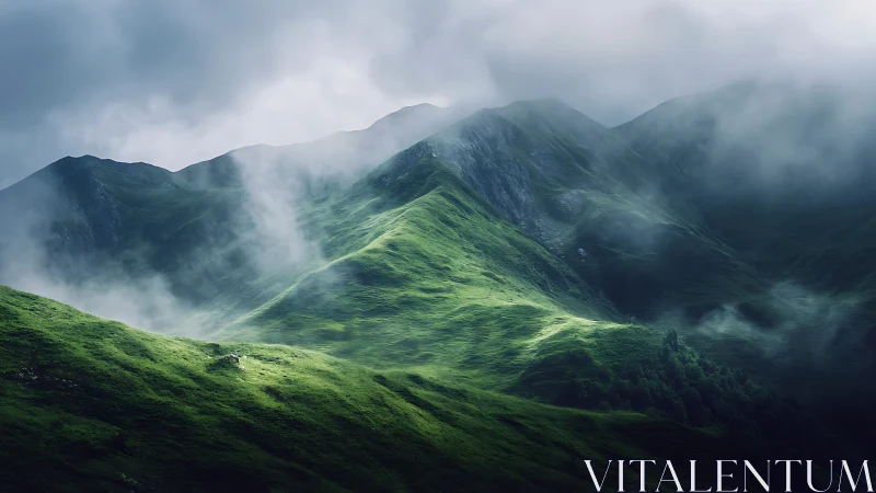 Emerald ridgeline breathing through silver mountain fog.