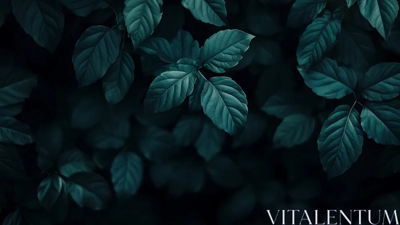 Moonlit forest leaves quietly rehearse their midnight glow