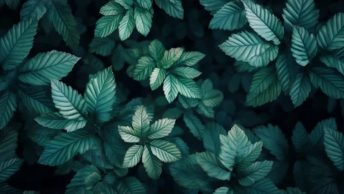 Photorealistic overhead study of deep teal woodland foliage.