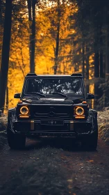 Black off-road SUV on forest track with autumn foliage.
