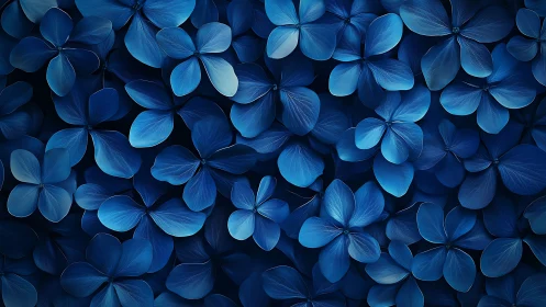 Dense cluster of blue flower petals in uniform arrangement.