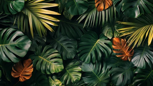 Lush tropical leaves glow softly in rich green and amber tones