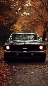 Autumn-draped muscle car stares down the winding leaf road