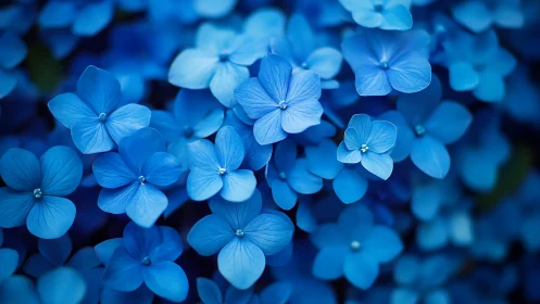Delicate Blue Forget-Me-Nots Dancing in Soft Focus