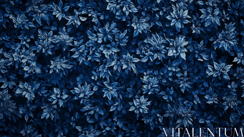Dense top view of frosted foliage in monochrome blue tones.