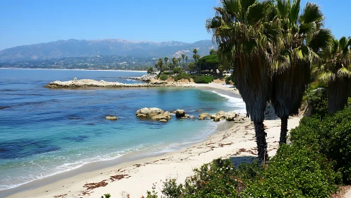 Coastal beach with palm trees and rocky formations.
