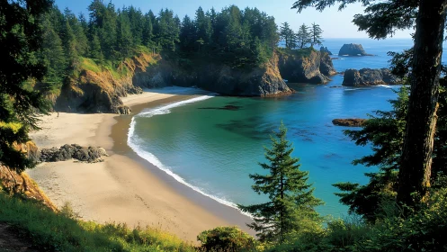 Crescent beach cove with forest overlook.