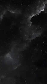 Monochrome interstellar dust lanes with dense starfield gradient.