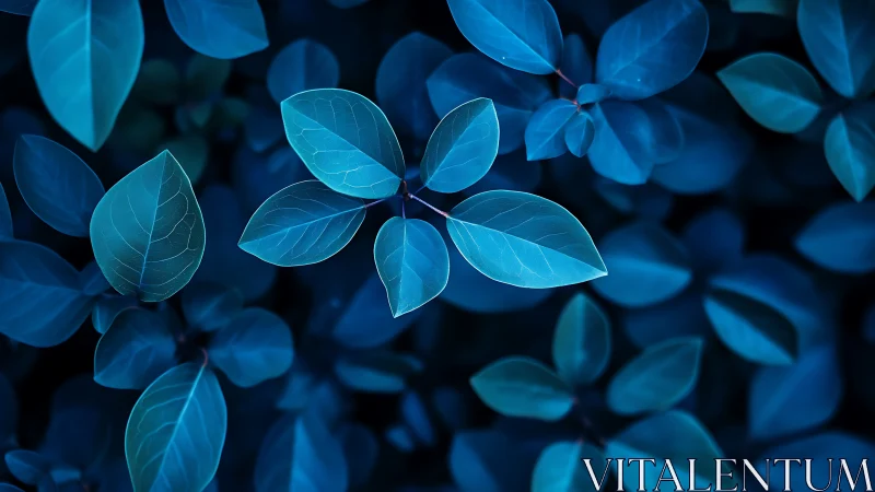 Luminous blue leaves glow softly against a shadowed forest floor