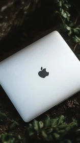 Sleek silver laptop rests softly amid deep forest foliage.