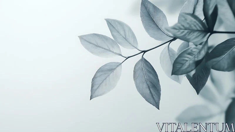 Quiet silver leaves drift like whispered thoughts in air