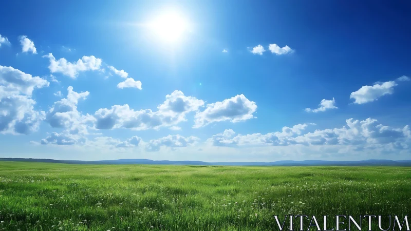 Sunlit grassland extends under scattered cumulus clouds