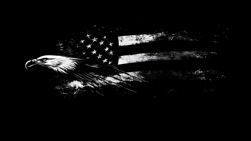 Eagle and distressed US flag emerge from stark black void