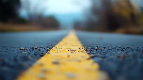 Road centerline draws focus in shallow depth of field.