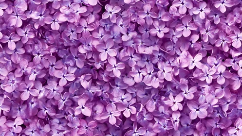 Lilac Cluster Macro Study: Densely Layered Botanical Texture.