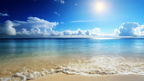 Sunlit tropical shoreline meets calm turquoise ocean horizon